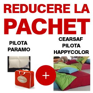 Pilota PARAMO dimensiune 220 cm * 220 cm + cearsaf de pilota HAPPYCOLOR