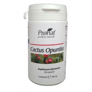 Cactus Opuntia 60 capsule
