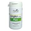 Ginkgo Biloba 100 mg Plus 60 capsule