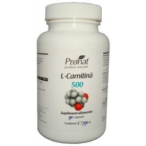L-Carnitina 500 mg 90 capsule
