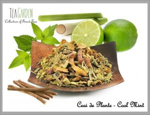 Herb Tea - Cool Mint 100 g