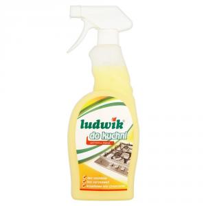 Ludwik spuma activa de bucatarie 750ml