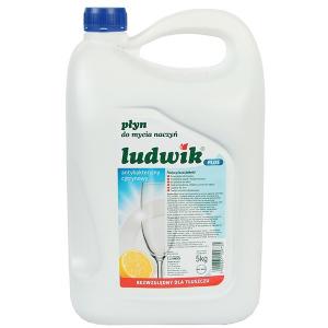 Ludwik 5L detergent vase antibacterian cu parfum de lamaie