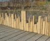 Bordura din bambus, xiao