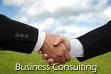 Consultanta in managementul proceselor afacerii