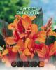 Canna ambassador