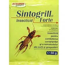 Sintogrill forte