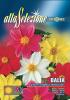 Dalia - Floare simpla multicolor