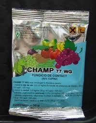 Champ 77 WG