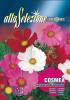 Mararite - flori mari multicolor