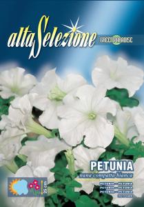 Petunia - Pitica compacta alba