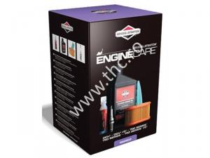 Kit Intretinere Motoare Briggs&Stratton , cod 992203