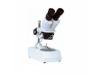 Microscop stereo m071