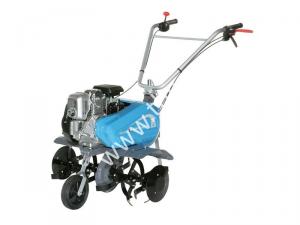 Motor briggs stratton