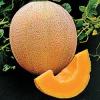 Seminte pepene galben hale's best jumbo