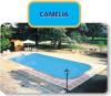 Piscine camelia