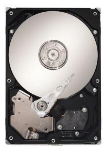 SEAGATE ST3160813AS