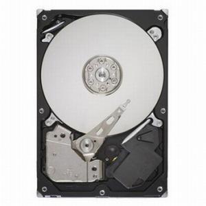 SEAGATE ST3250318AS