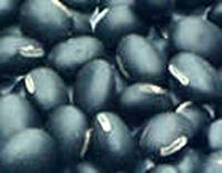 Black soybean hull extract (Black bean peel extract)