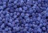Blueberry powder