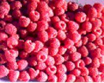 Red raspberry powder