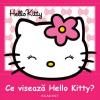 Cartea &quot;ce viseaza hello