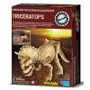 Set Arheologic Triceratops 4M