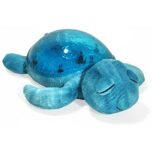 Tranquil Turtle Aqua-Marine CloudB