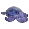 Tranquil turtle amethyst cloudb