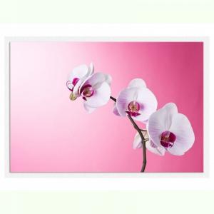 Tablou luminos - Orhidee pe roz