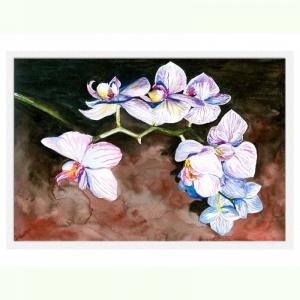 Tablou luminos - Orhidee pictata