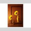 Tablou luminos - Vaza cu floarea soarelui