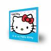 Cartea " o zi cu hello kitty"