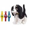 Catelusul bobby dog negru