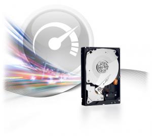 500 GB HDD Western Digital, Intern