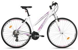 Bicicleta  dama Sprint SINTERO