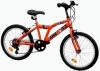 Bicicleta copii dhs 2021 tiger -