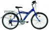 Bicicleta trekking 2431 courage model 2010 baieti 8-12 ani