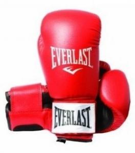 Manusi box Everlast Rodney