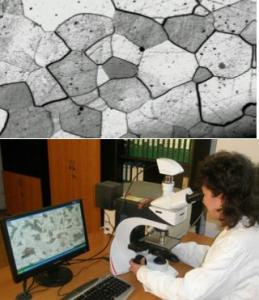 Analiza Macroscopica si Microscopica