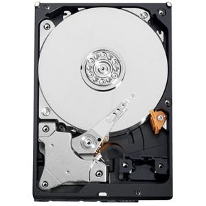 Hard Disk Western Digital RS 1TB, 64MB, SATA- II