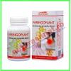 Faringoplant 60 comprimate - dacia plant
