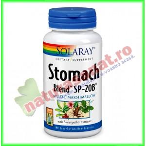 Stomach Blend 100 capsule - Solaray