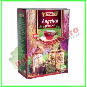 Ceai Angelica Radacina 50 g - Ad Natura