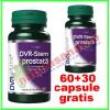 Dvr stem prostata promotie 60+30