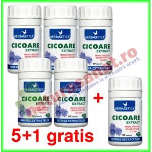 PROMOTIE Cicoare extract 80 capsule 5+1 gratis - Herbagetica