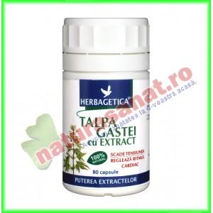 Talpa Gastei Extract 80 capsule - Herbagetica