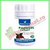 Paducel extract 80 capsule - herbagetica