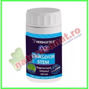 Ginkgo 120 Stem 70 capsule - Herbagetica