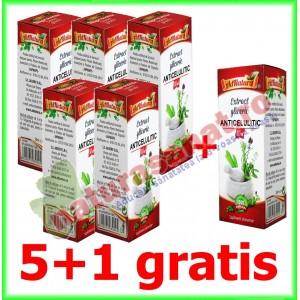PROMOTIE Anticelulitic 5+1 GRATIS Extract Gliceric 50 ml - Ad Natura - Ad Serv